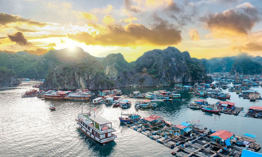 Visit Pearl Farm Village on Halong Bay