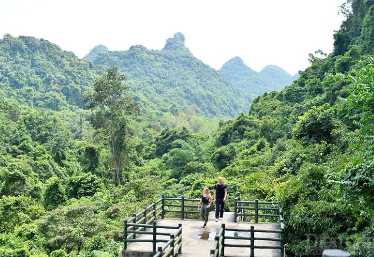 Best view of Trung Trang Cave
