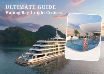 Ultimate Guide to Halong Bay 1-Night Cruises