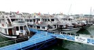 Tuan Chau Harbor