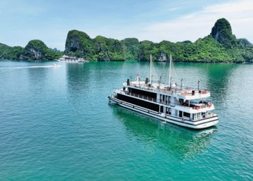 Iris Cruise