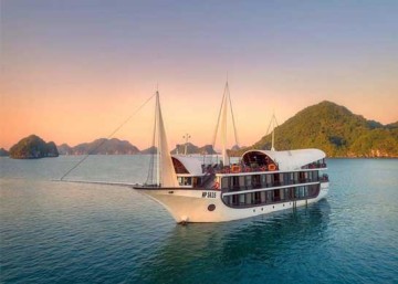 Sena Cruises