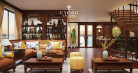 Cycad Cruise