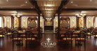 Cycad Cruise