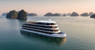 Cycad Grand Cruise