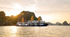 Erina Cruise