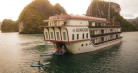 Ginger Cruise