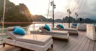 Iris Cruise