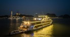 Sea Octopus Cruise