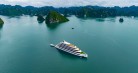 Sea Stars Cruise