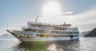 Starlight Cruise