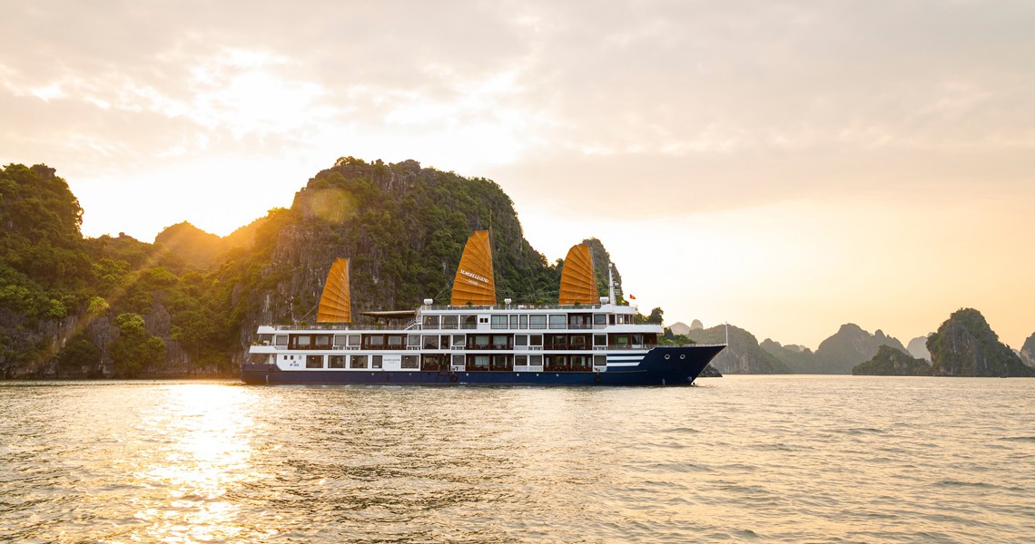 Erina Cruise