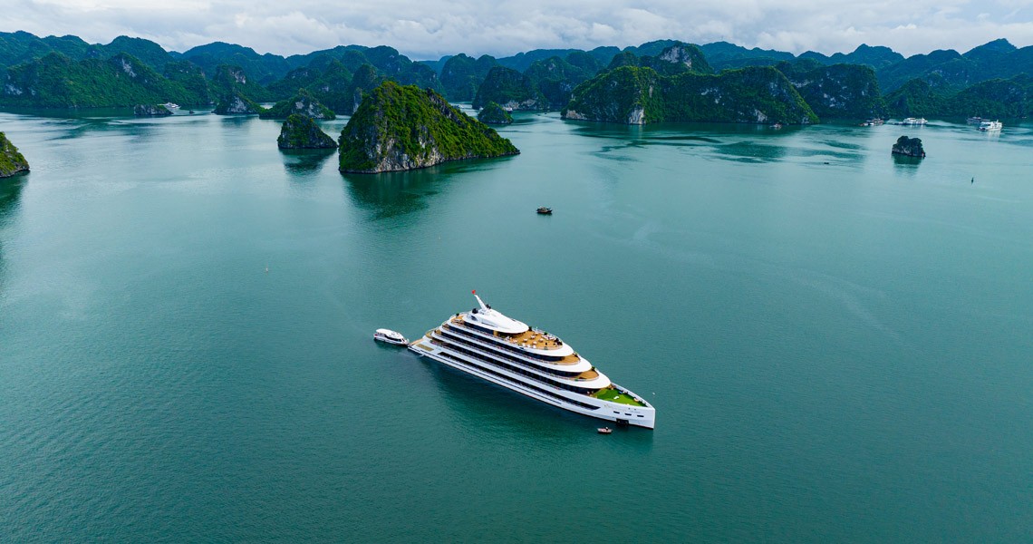 Sea Stars Cruise