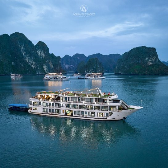 Aqua Elegance Cruise 2 Days 1 Night