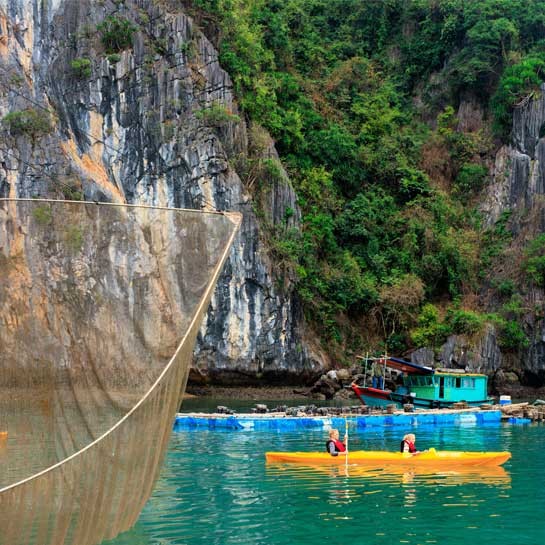 V'Spirit Premier Cruise  3 Days 2 Nights
